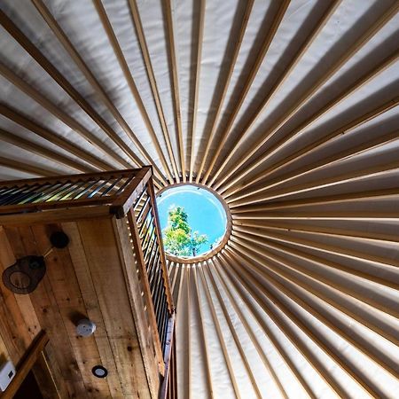 Yourtes Glamping Du Poisson Blanc Notre-Dame-du-Laus ภายนอก รูปภาพ