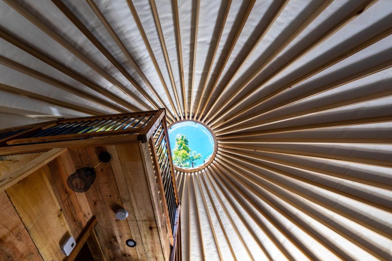 Yourtes Glamping Du Poisson Blanc Notre-Dame-du-Laus ภายนอก รูปภาพ