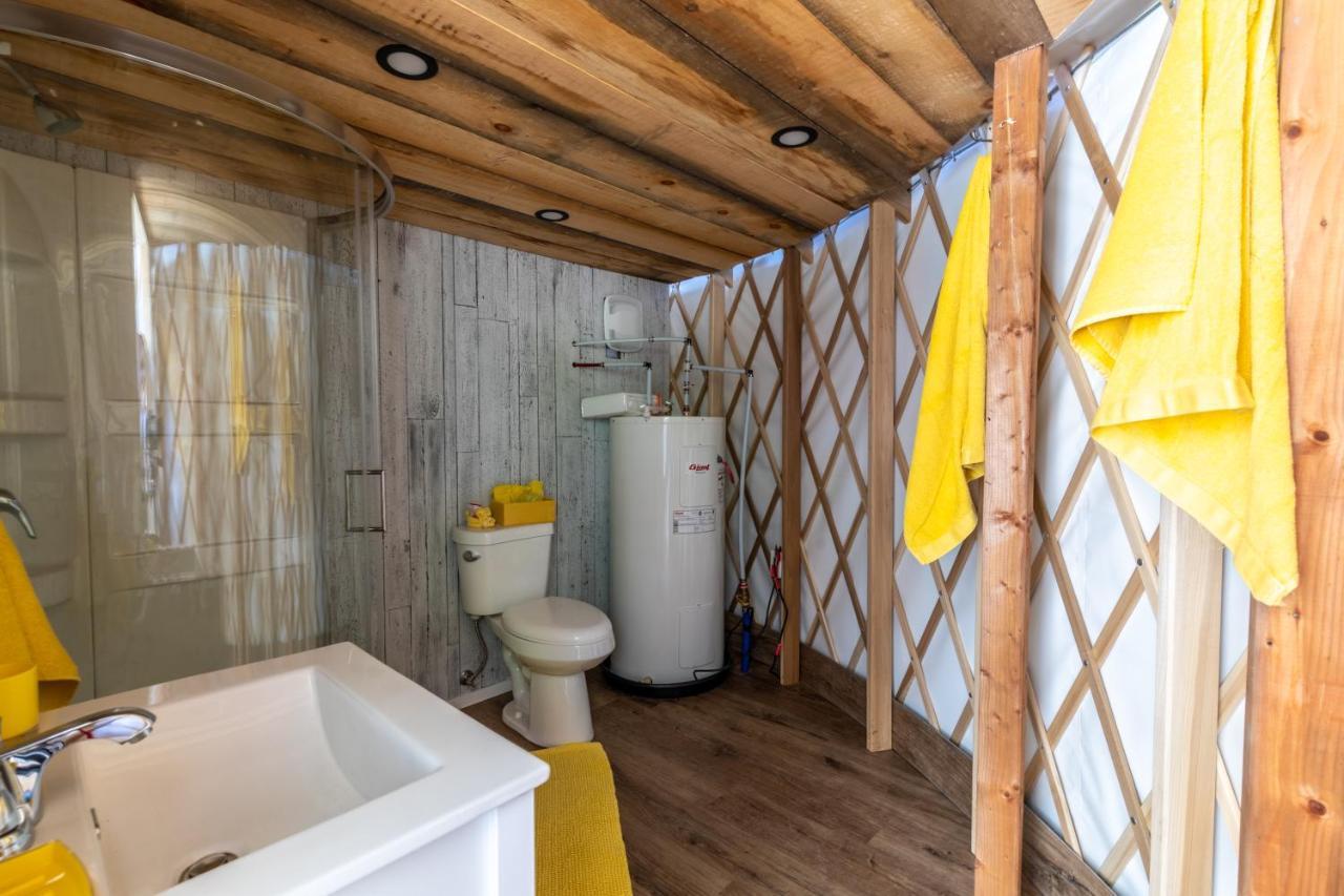 Yourtes Glamping Du Poisson Blanc Notre-Dame-du-Laus ภายนอก รูปภาพ
